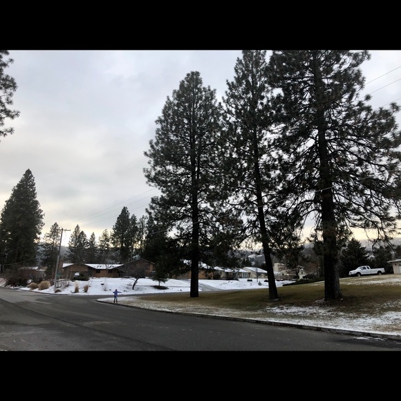 Meet your Posher, Monica - Picture 1 of 3